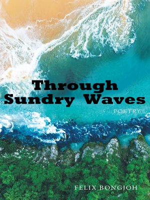 cover image of Through Sundry Waves